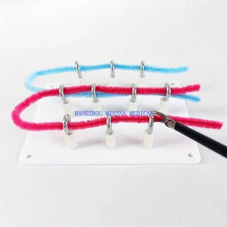 Medical Endoscopy Laparoscopic Training Box