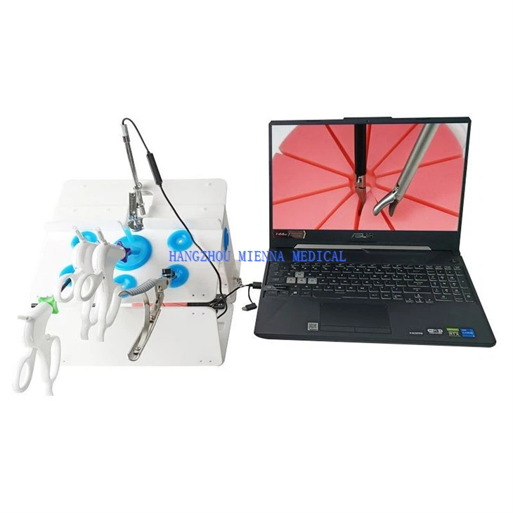 医療内視鏡腹腔鏡トレーニングボックス